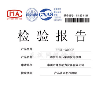 玉柴300KW檢驗(yàn)報(bào)告 檢測(cè)報(bào)告