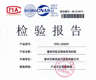 250KW東康檢驗(yàn)報(bào)告 檢測(cè)報(bào)告